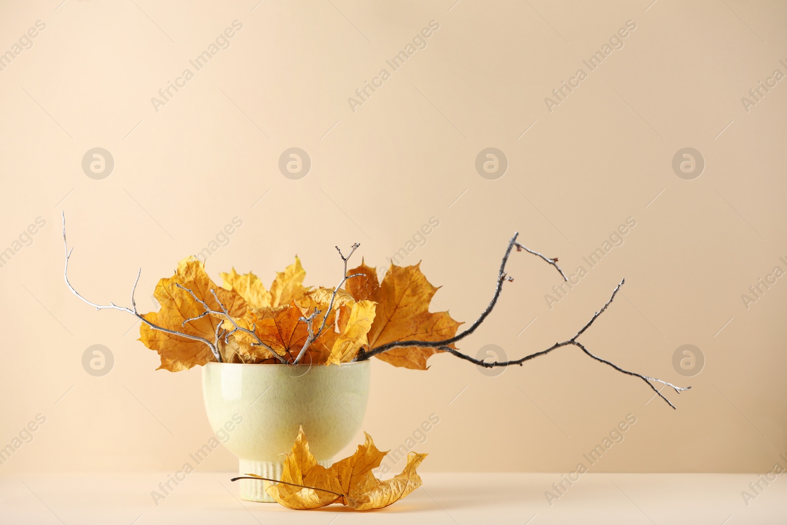 Photo of Beautiful autumn leaves and tree branches in vase on table against beige background, space for text