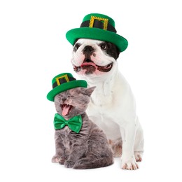 Image of St. Patrick's day celebration. Cute dog and cat with green leprechaun hats isolated on white