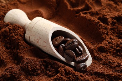 Photo of Scoop with roasted beans on ground coffee, closeup
