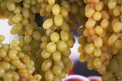 Fresh ripe juicy grapes hanging against blurred background, closeup