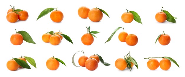 Set with fresh ripe tangerines on white background. Banner design