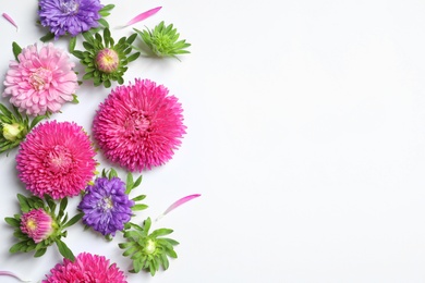 Beautiful aster flowers on white background, top view. Space for text