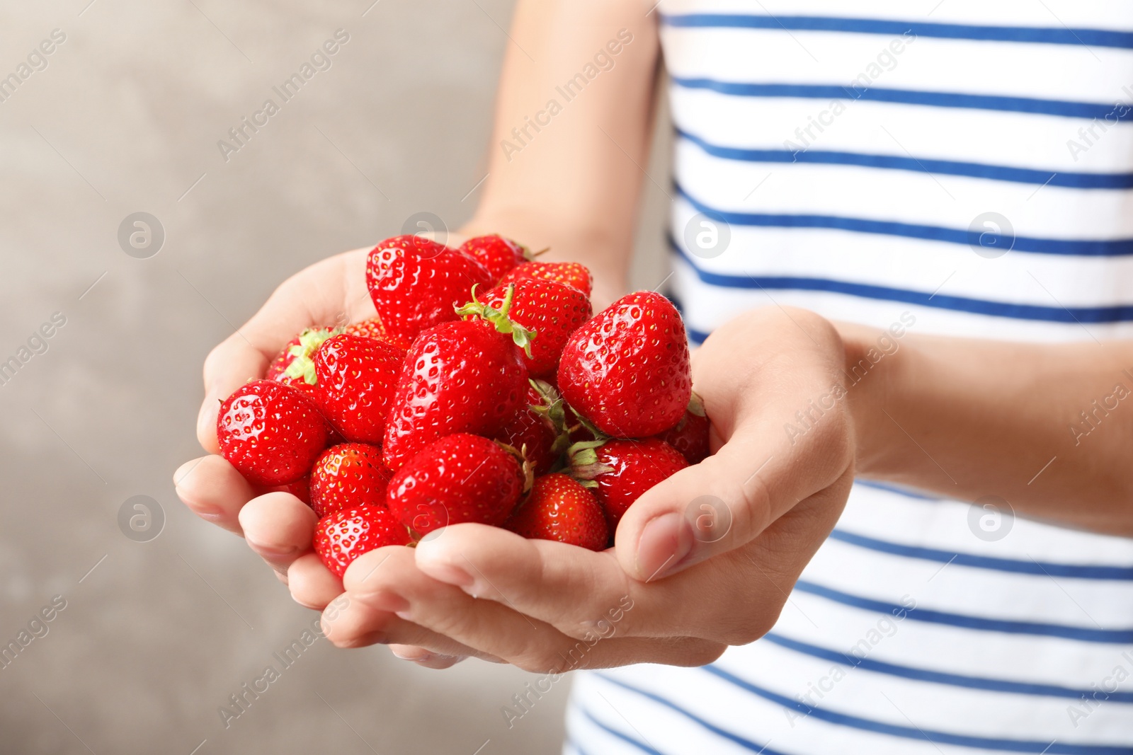 Photo of Woman holding ripe strawberries on grey background, closeup