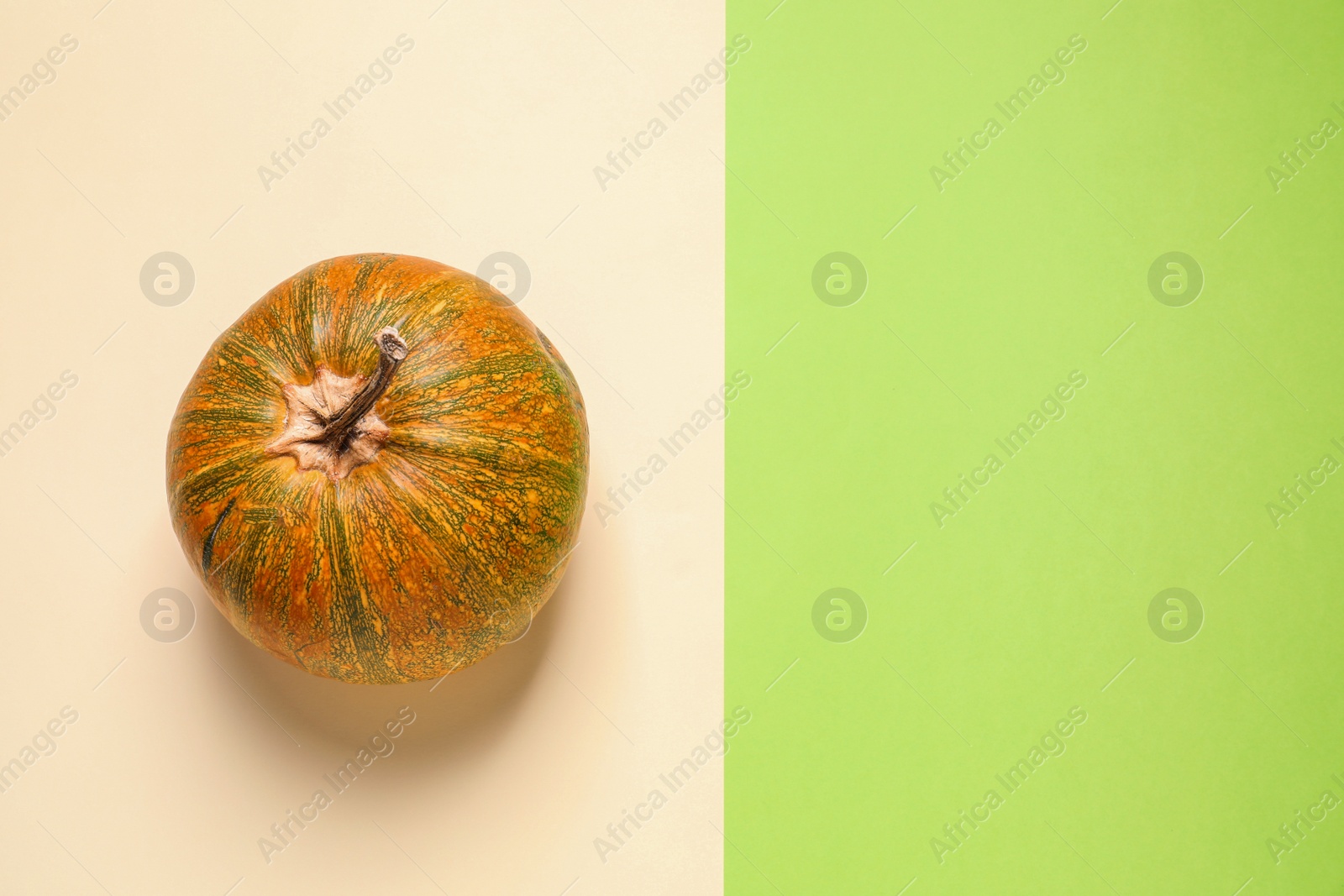 Photo of Pumpkin and space for text on color background, top view. Autumn holidays