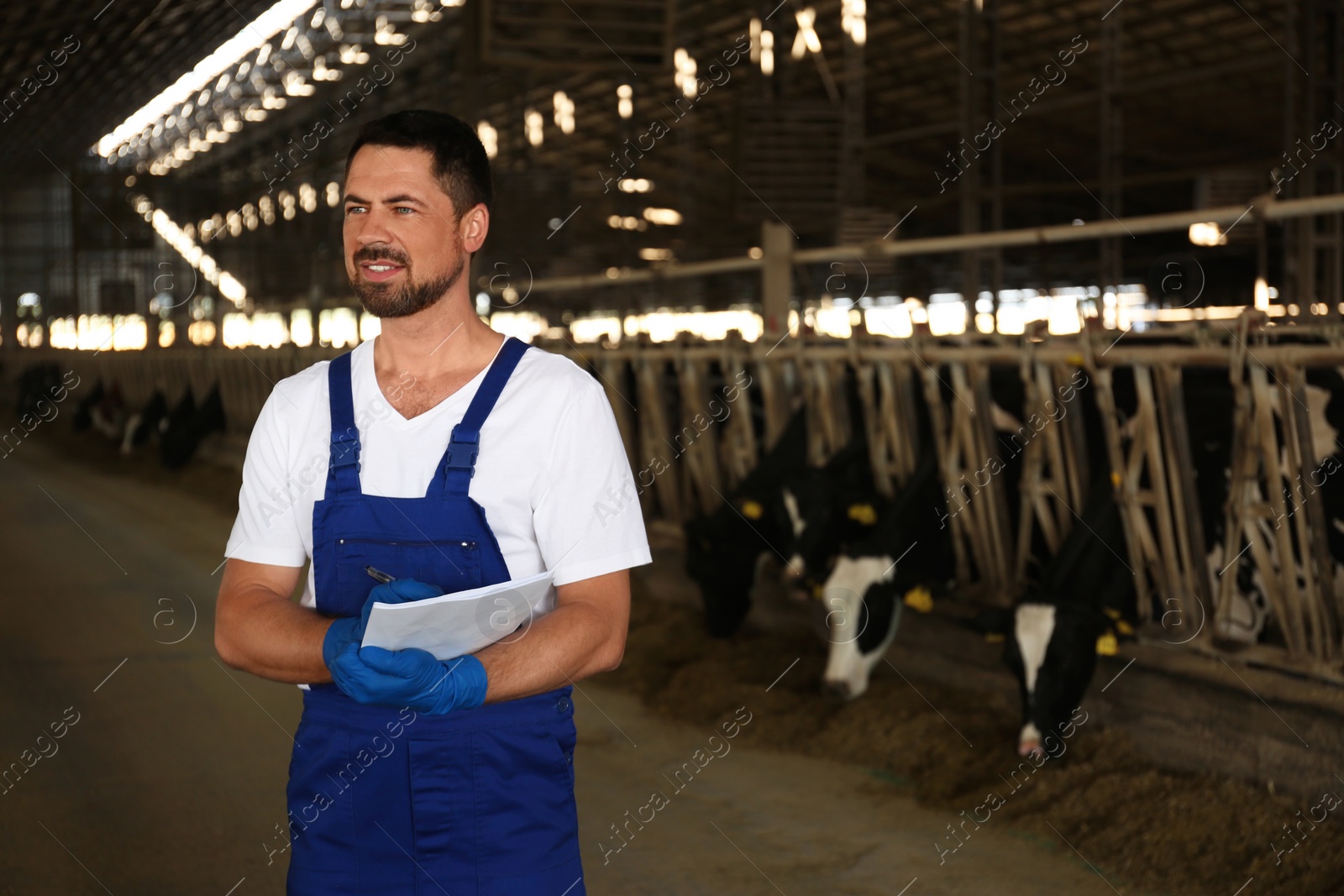 Photo of Worker with notes in cowshed on farm, space for text. Animal husbandry
