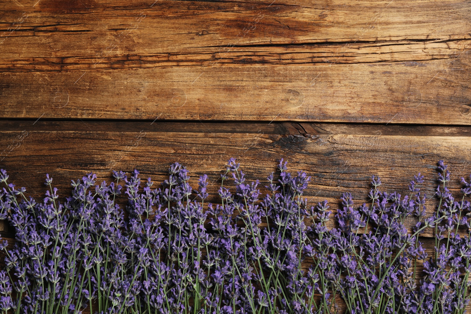 Photo of Beautiful lavender flowers on wooden background, flat lay. Space for text