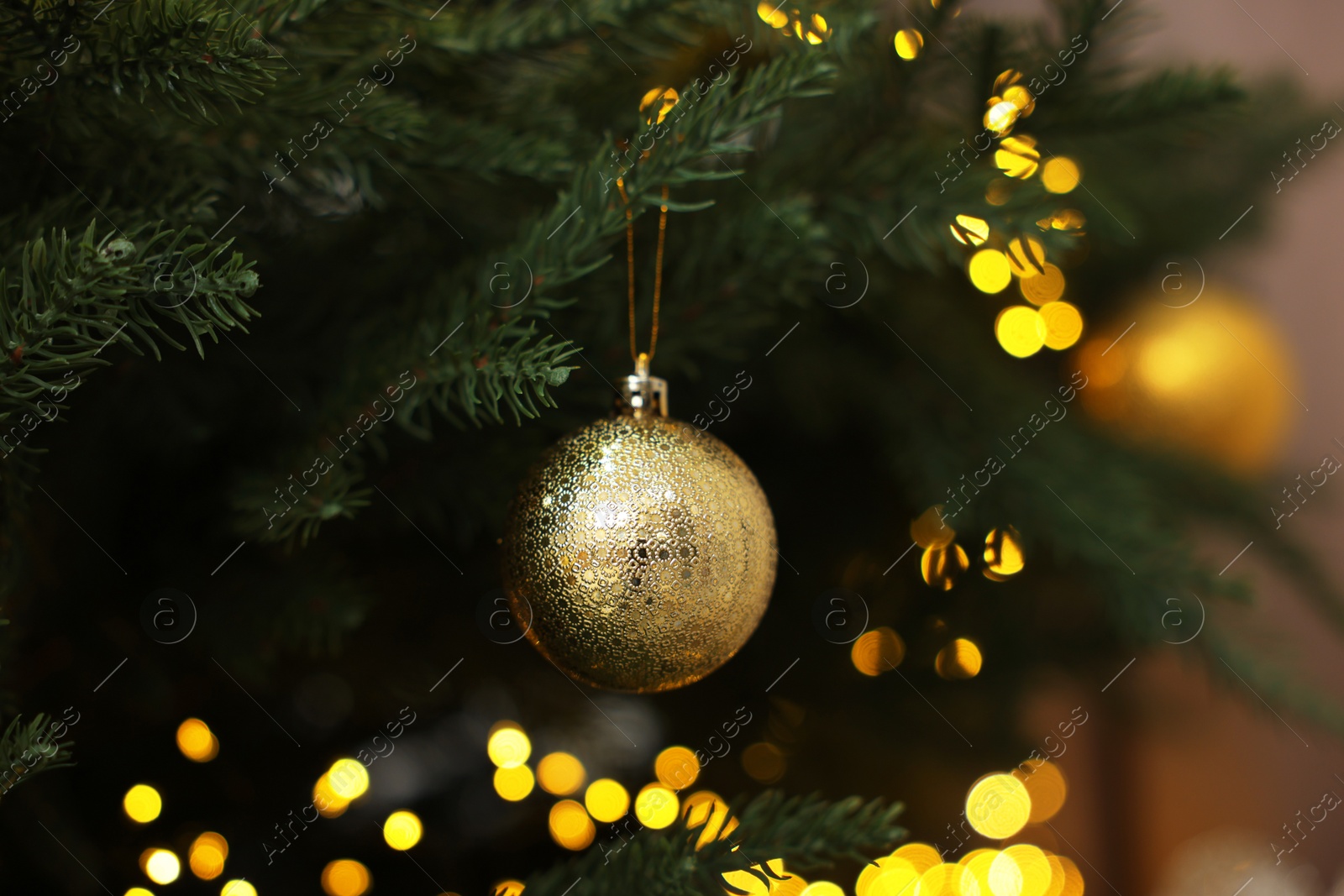 Photo of Beautiful Christmas ball hanging on fir tree branch indoors, closeup