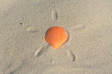 Photo of Sandy beach with beautiful shell on summer day, top view