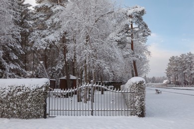 Photo of Winter landscape with beautiful houses, trees and bushes in morning