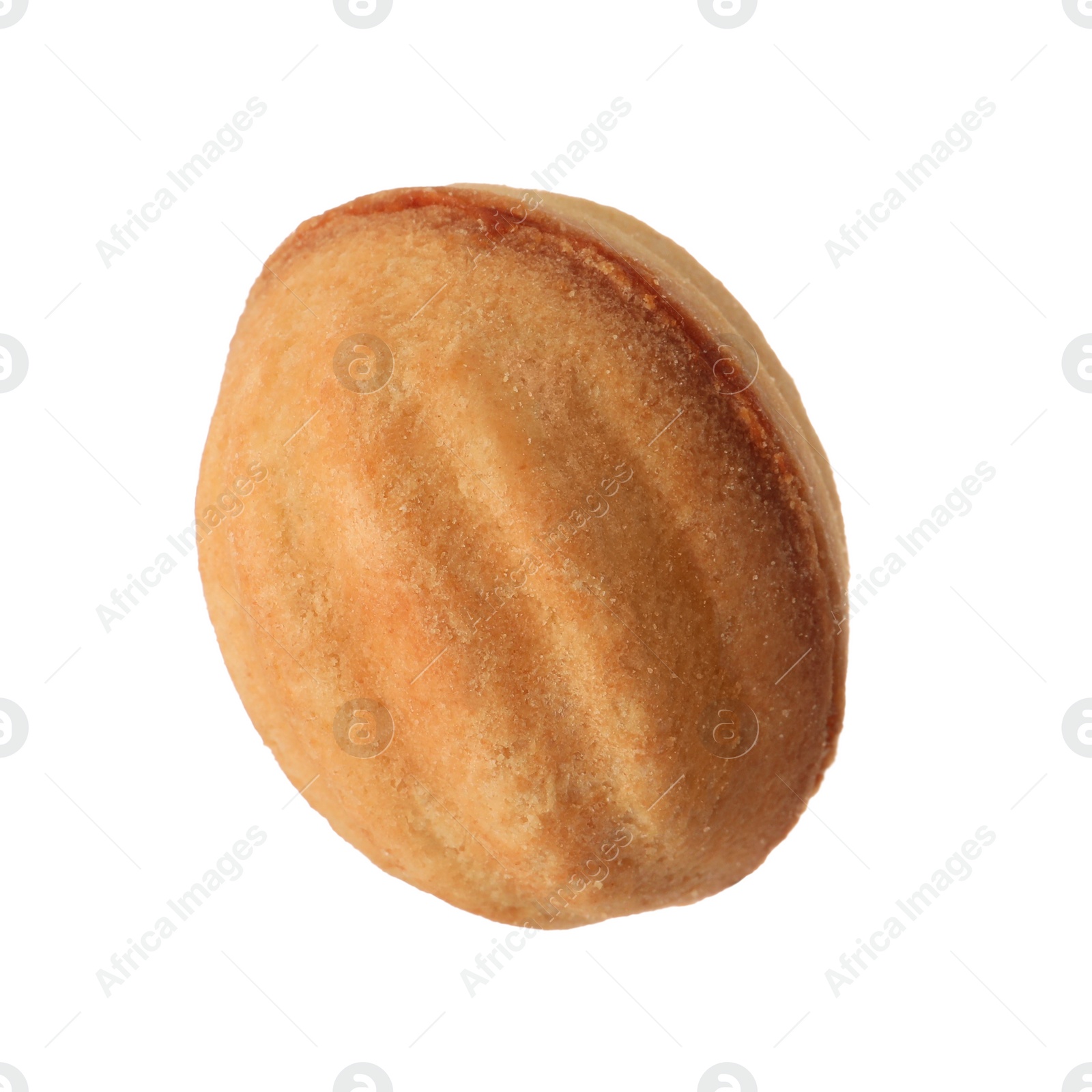 Photo of Delicious nut shaped cookie with condensed milk isolated on white