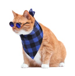 Photo of Cute ginger cat in stylish sunglasses and bandana on white background