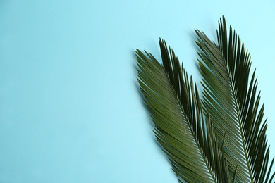 Beautiful tropical leaves on color background, top view