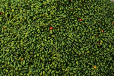 Photo of Heap of fresh delicious chiltepin as background, top view
