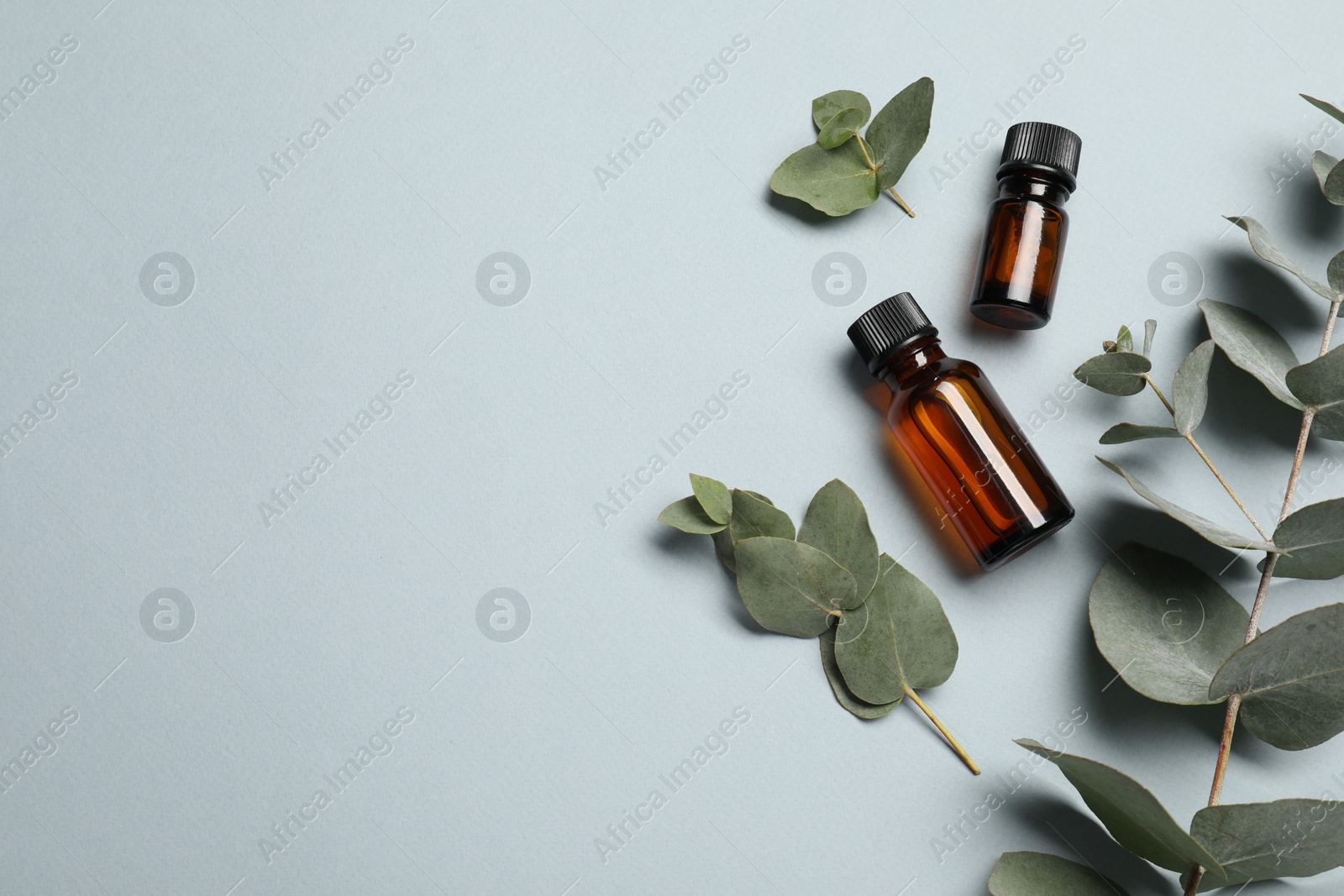 Photo of Aromatherapy. Bottles of essential oil and eucalyptus leaves on light grey background, flat lay. Space for text