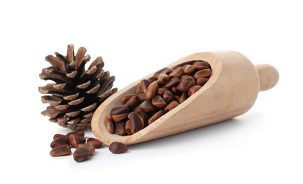 Photo of Scoop with pine nuts and cone on white background