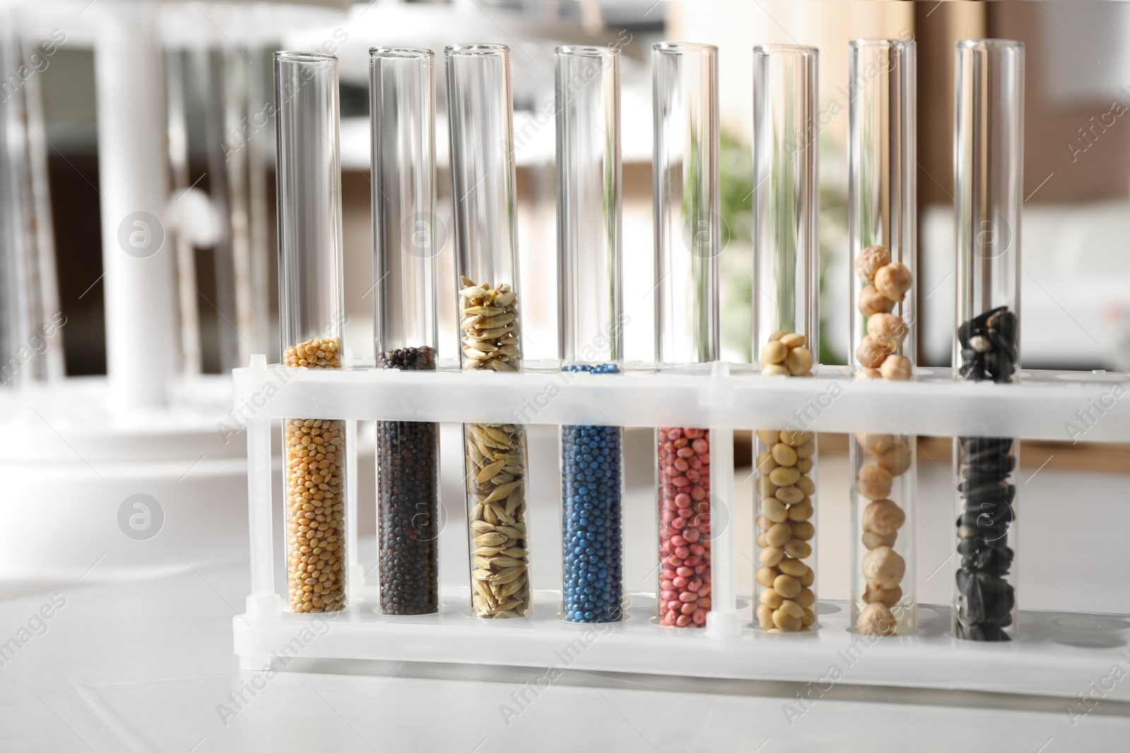 Photo of Test tubes with seeds samples on stone table in laboratory