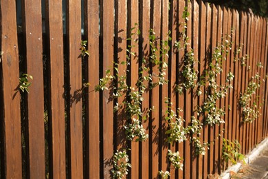 Photo of High wooden fence on sunny day outdoors