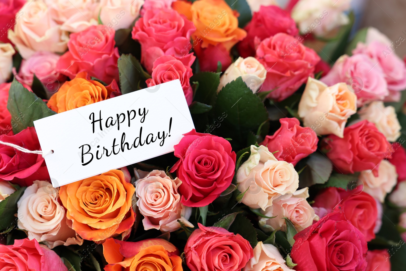 Image of Bouquet of beautiful roses with Happy Birthday card, closeup