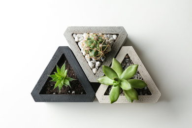 Photo of Succulent plants and cactus on white table, flat lay