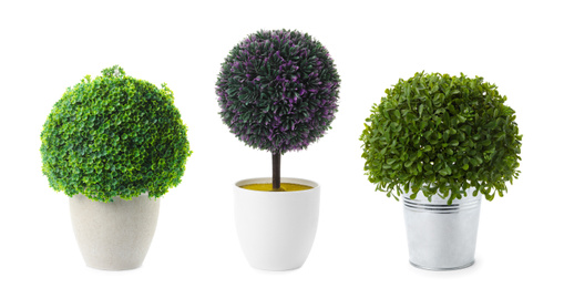 Set of artificial plants in flower pots isolated on white. Banner design