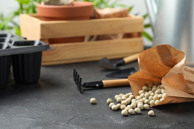 Photo of Raw dry peas, gardening tools and wooden crate on black table. Vegetable planting