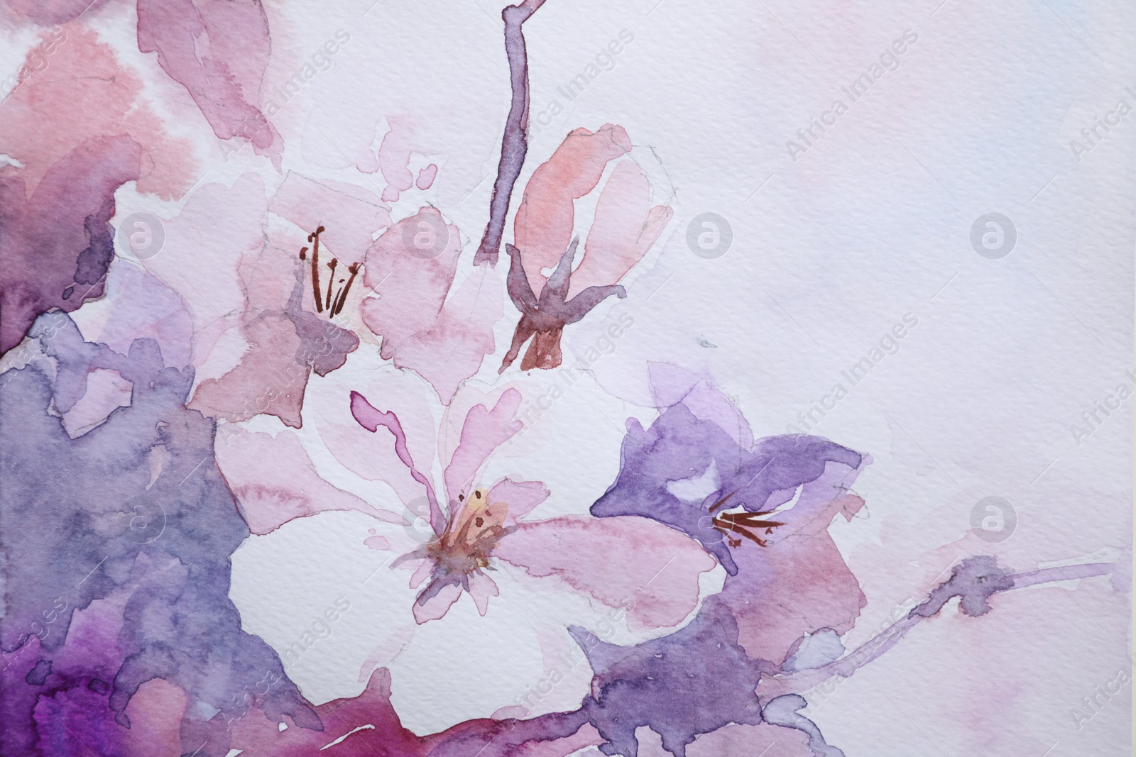 Photo of Closeup view of beautiful floral watercolor painting