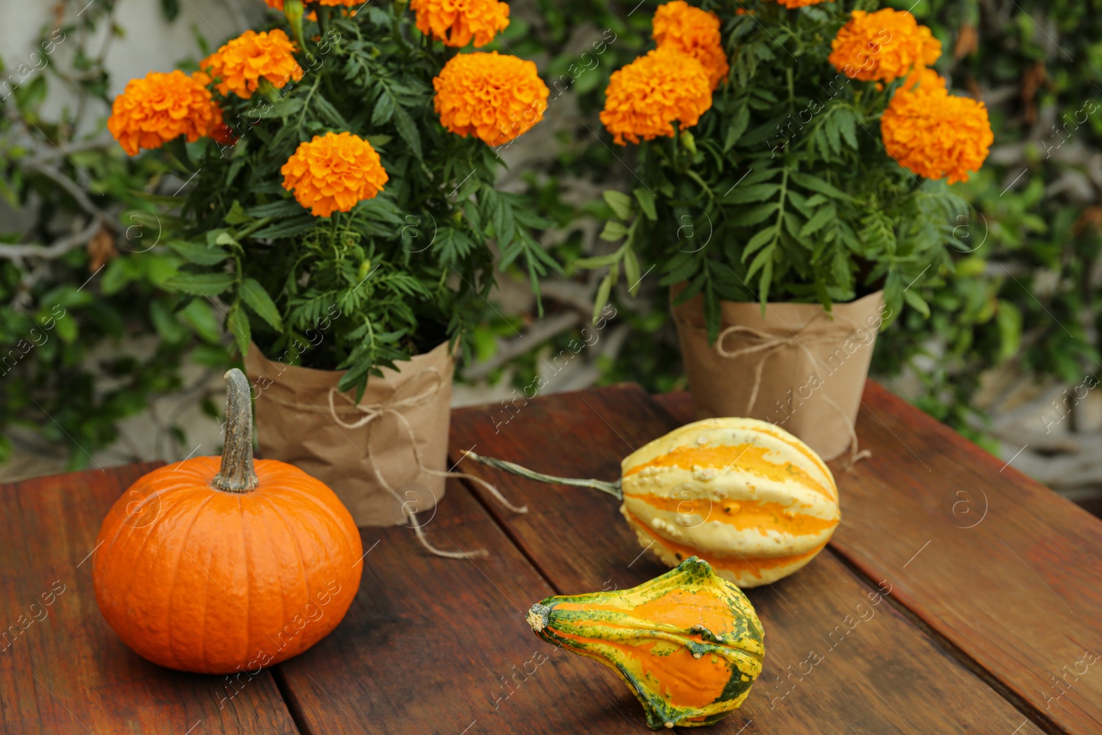 Photo of Fresh ripe pumpkins and flowers on wooden table outdoors