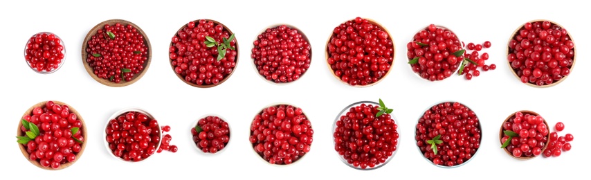 Set of fresh ripe cranberries on white background, top view. Banner design 