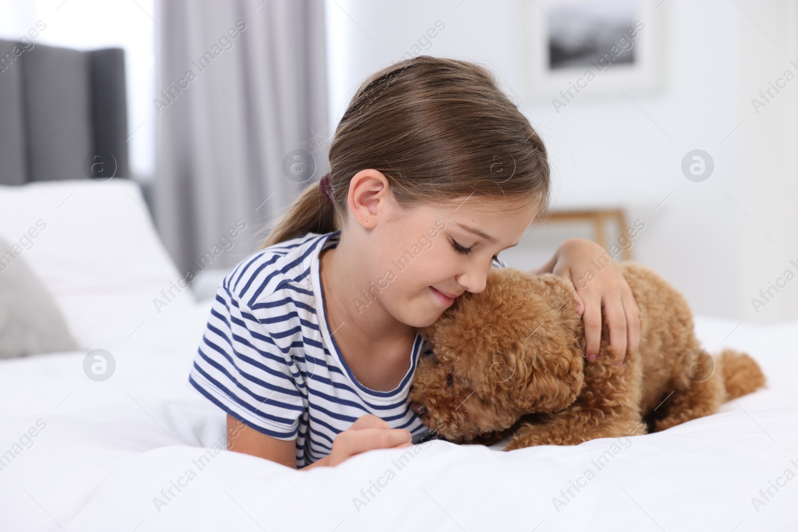 Photo of Little child and cute puppy on bed at home. Lovely pet