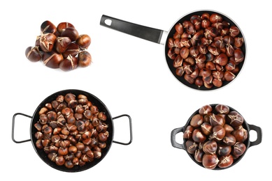 Set of sweet roasted edible chestnuts isolated on white
