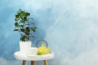 Photo of Tea plant in pot, cup and teapot on table