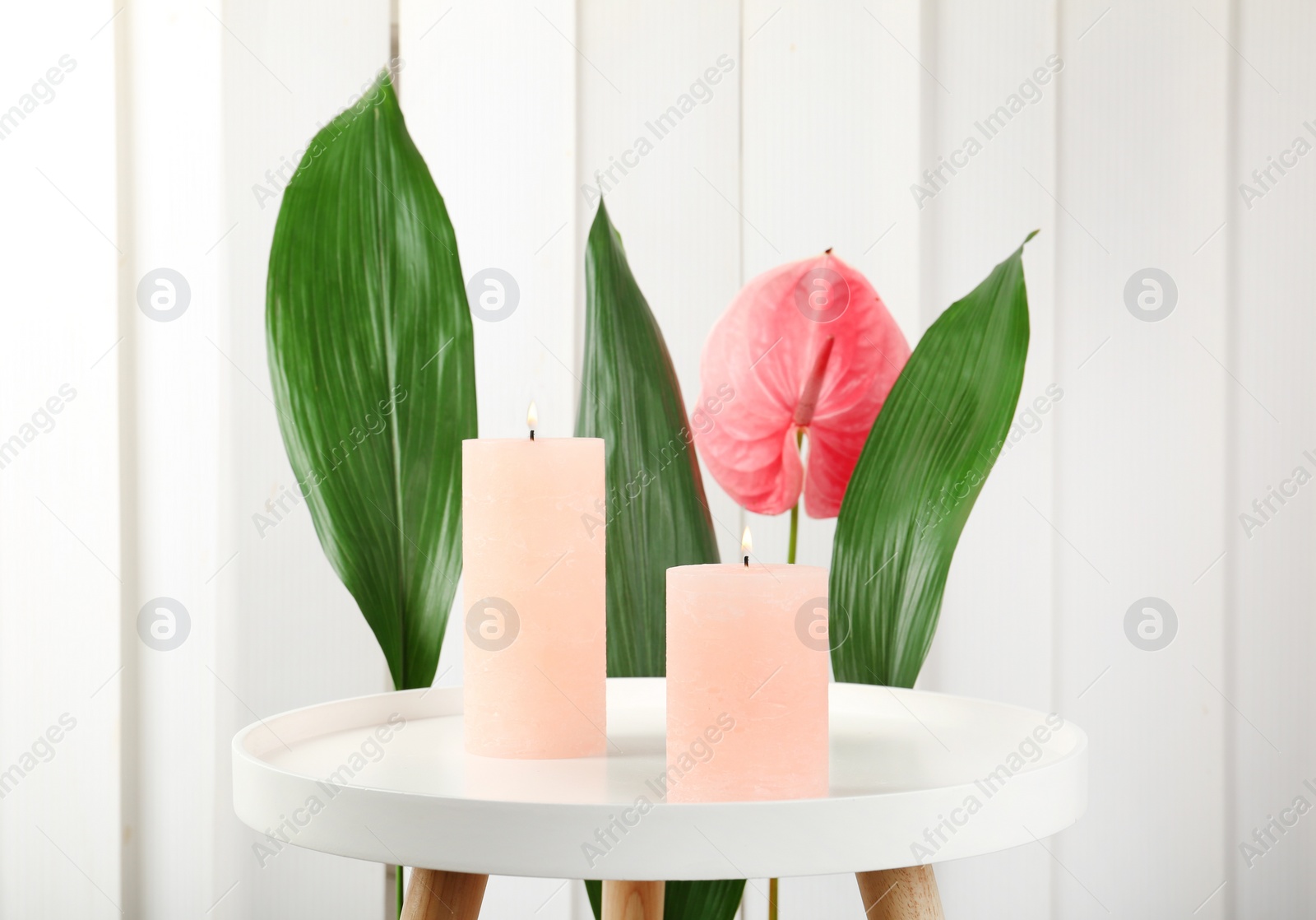 Photo of Creative composition with candles and tropical plants on light background