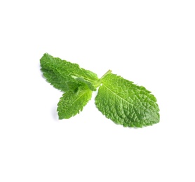 Fresh green mint leaves on white background