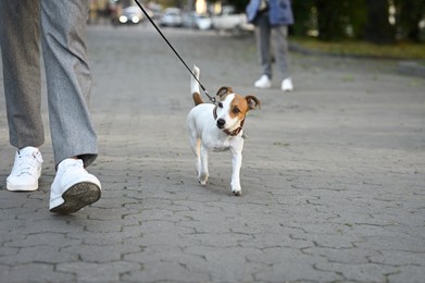 Photo of Man with adorable Jack Russell Terrier on city street, closeup. Dog walking