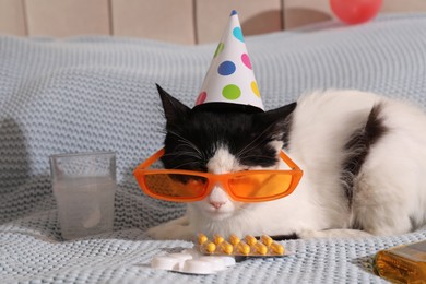 Photo of Cute cat wearing birthday hat and sunglasses near hangover medicines on bed