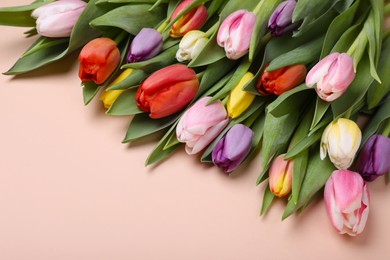 Beautiful colorful tulips on pale pink background. Space for text