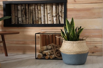 Photo of Beautiful plant near wooden wall. Stylish interior design