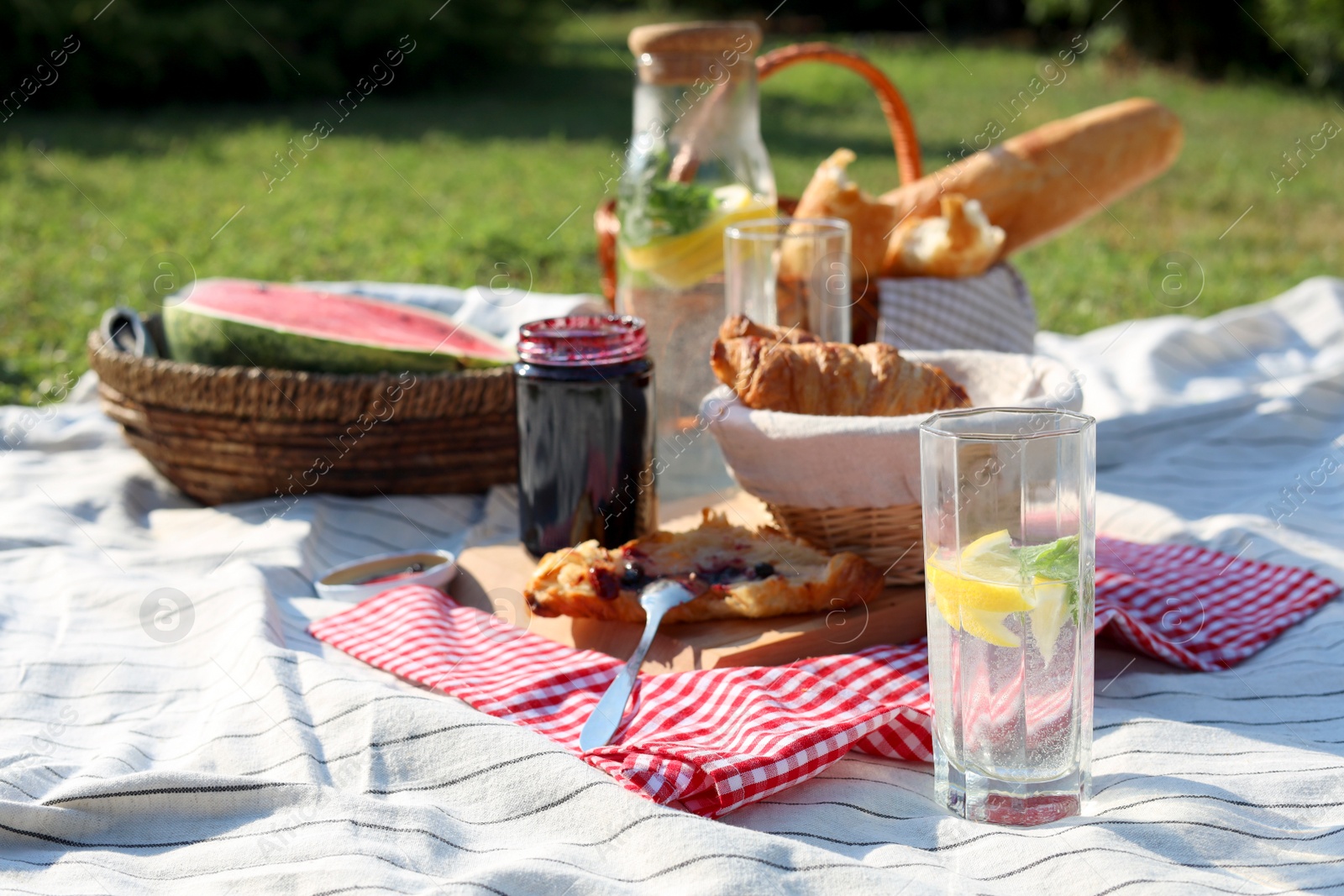 Photo of Delicious food and drink on striped blanket in garden. Picnic season