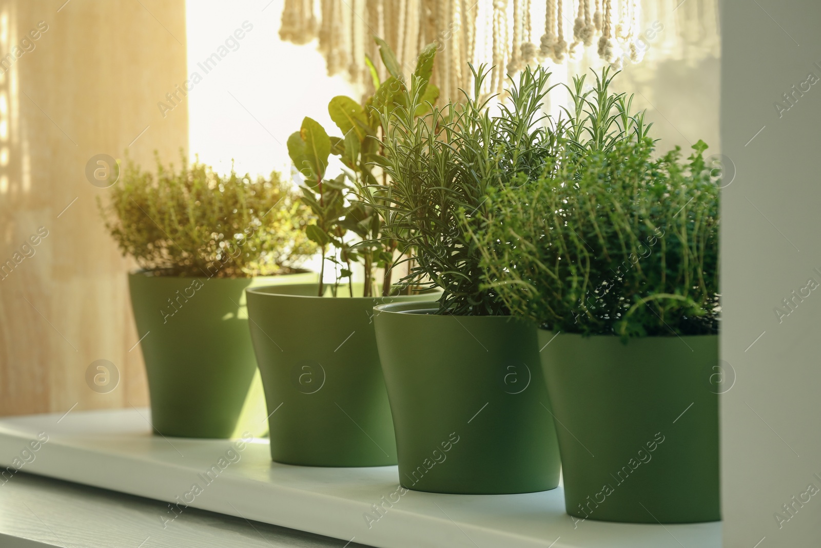 Photo of Different aromatic potted herbs on windowsill indoors