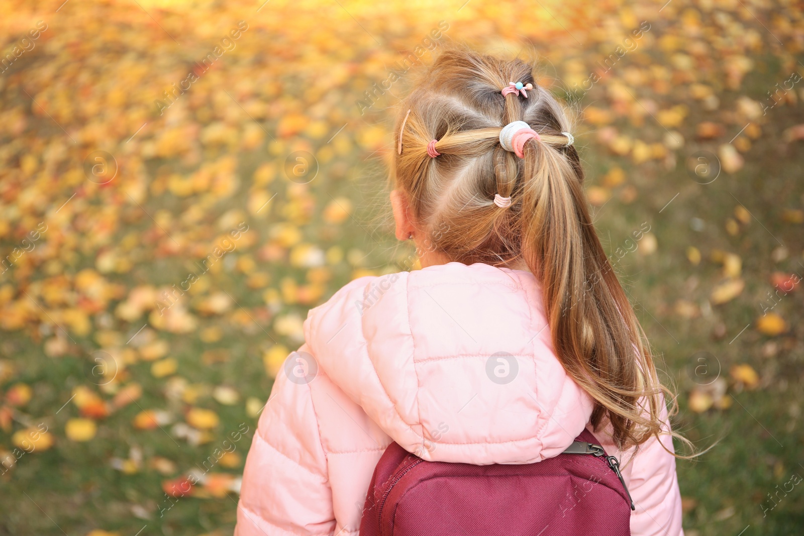 Photo of Cute little girl with backpack in park on autumn day, back view