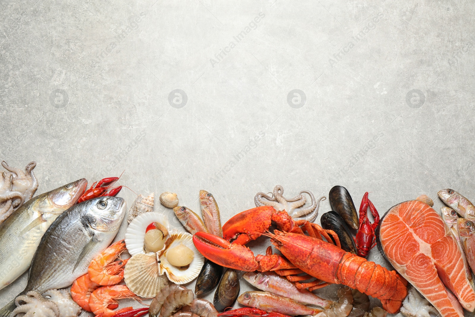 Photo of Fresh fish and different seafood on light grey table, flat lay. Space for text