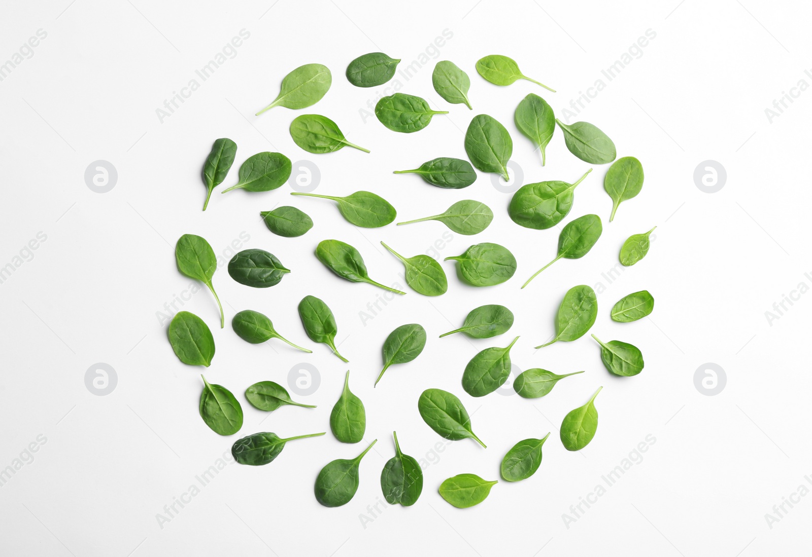 Photo of Fresh green leaves of healthy baby spinach on white background, top view