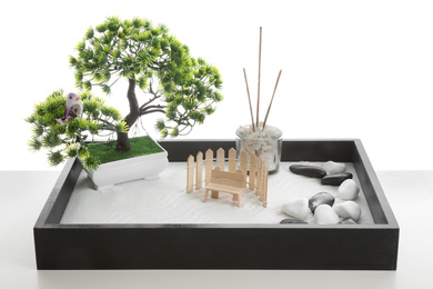 Photo of Beautiful miniature zen garden and incense sticks isolated on white