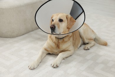 Photo of Cute Labrador Retriever with protective cone collar on floor in room