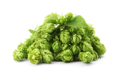 Photo of Fresh green hops on white background. Beer production