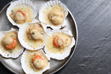 Fried scallops in shells on black table, top view. Space for text