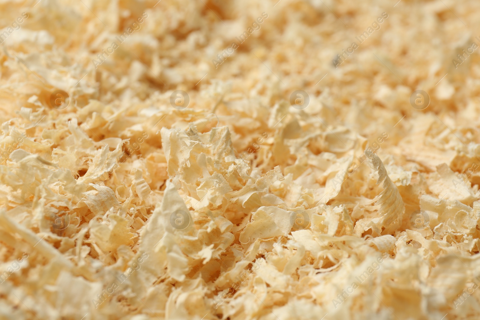 Photo of Dry natural sawdust as background, closeup view