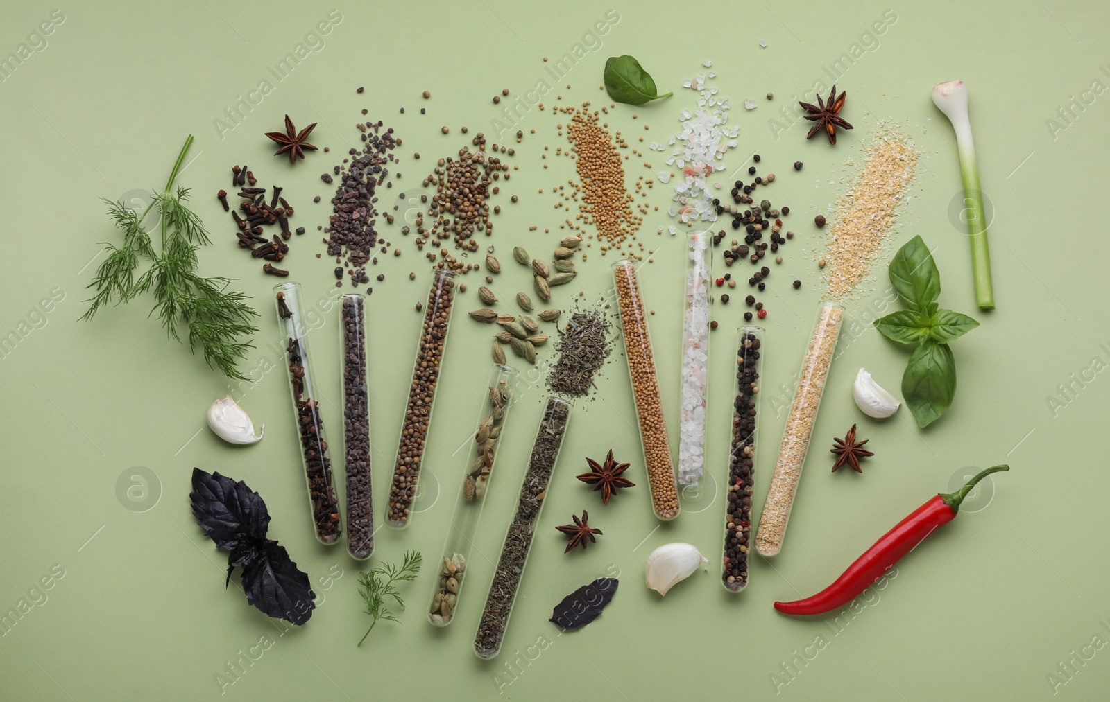 Photo of Flat lay composition with various spices, test tubes and fresh herbs on pale green background