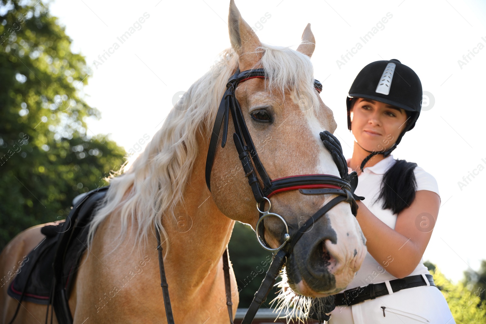 Photo of Young woman in horse riding suit and her beautiful pet outdoors on sunny day