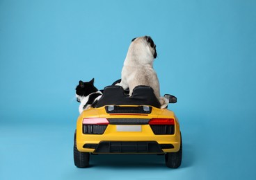 Photo of Adorable pug dog and cat in toy car on light blue background, back view